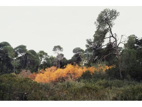 Photographies : In Landscapes Photographies : In Landscapes