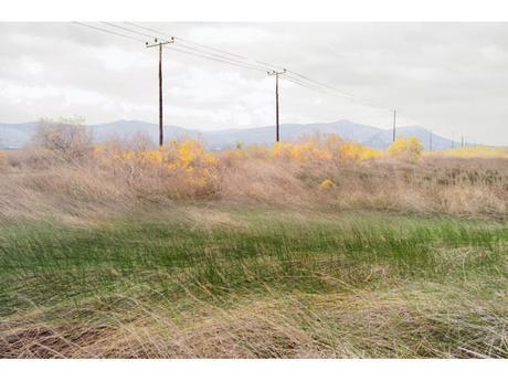 Photographies : In Landscapes yyy