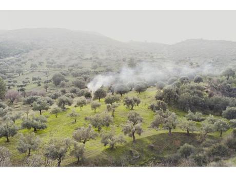 Photographies : In Landscapes yy