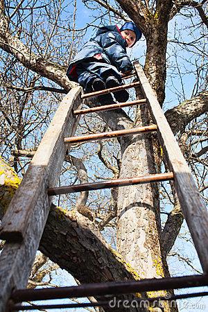 Climbing up tree