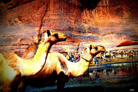 Le TREG: encore des images de l'Ennedi...