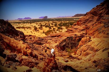 Le TREG: encore des images de l'Ennedi...