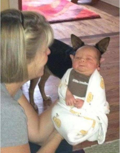 Mogwaii-perfect-timing-photo (23)