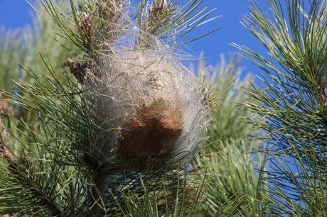 nid 26 fev 2014 028.jpg