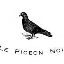 Le Pigeon Noir