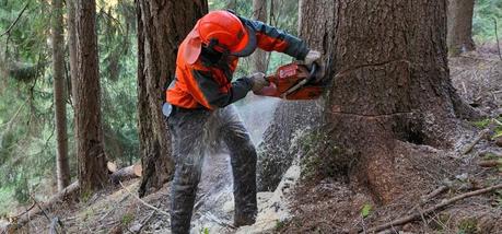 27/02 Manolito, por favor, ne fais pas du Copé !