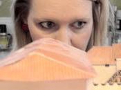 métier professeur écoles québécoise