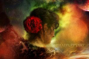 Flamenco by Phatpuppyart-Studios