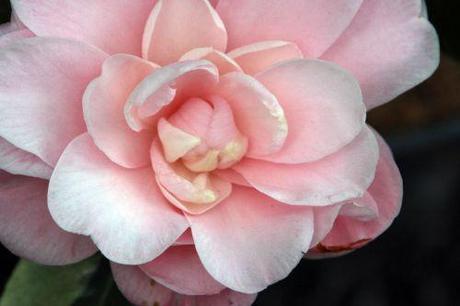 kerguelen 27 fev 2014 010.jpg