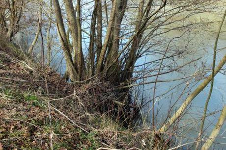 b aulne 26 fev 2014 017.jpg