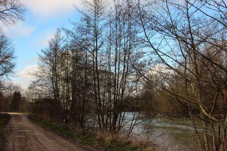 4 aulnes 26 fev 2014 018.jpg