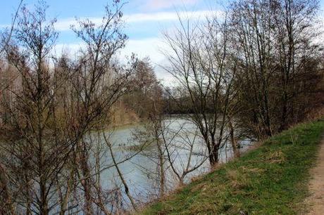 5 aulnes 26 fev 2014 020.jpg