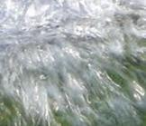 Pénurie d’eau au Cameroun : une crise de monopole ?