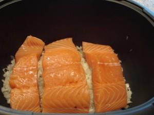 Poisson à la diépoise 2