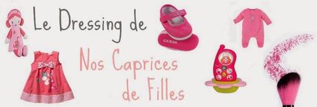 Notre vide-dressing