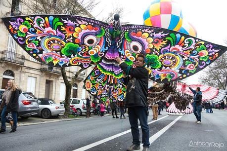 Carnaval_des_deux_rives_2014_©anthonyrojo-9