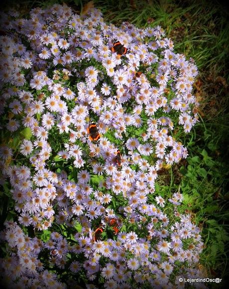 Rétro Septembre 2013