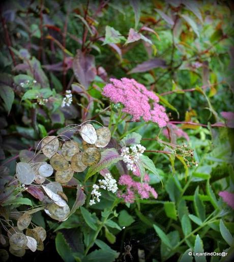 Rétro Septembre 2013