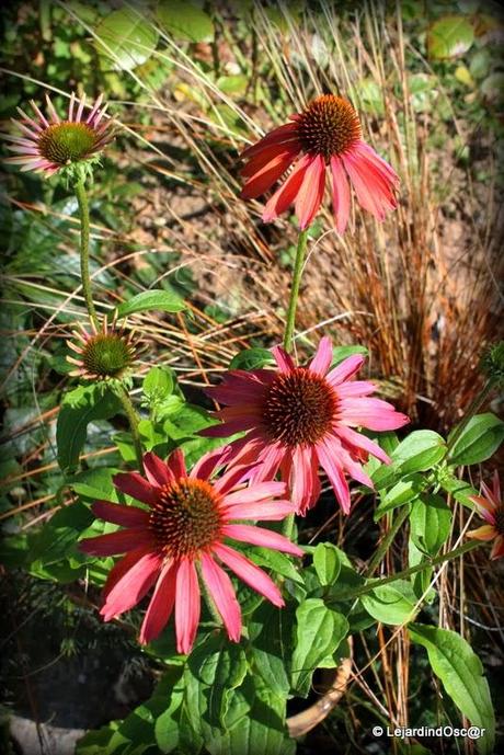 Rétro Septembre 2013