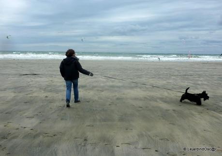 Rétro Septembre 2013