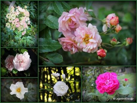 Rétro Septembre 2013