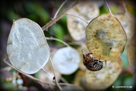 Rétro Septembre 2013