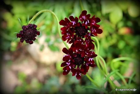 Rétro Septembre 2013