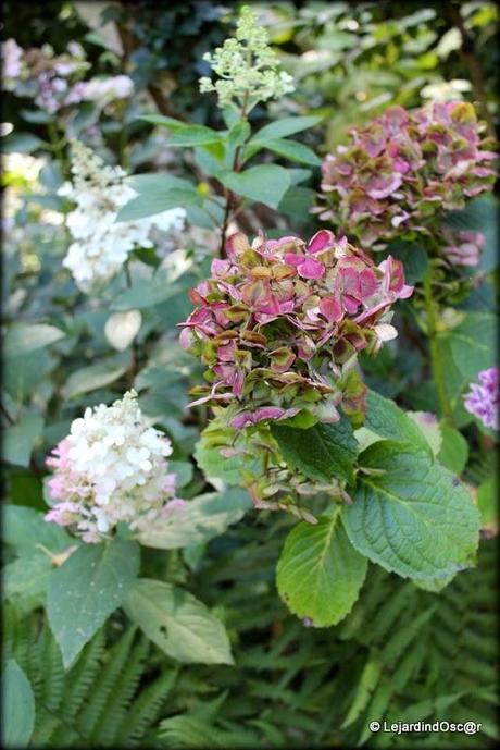 Rétro Septembre 2013