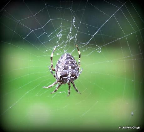 Rétro Septembre 2013