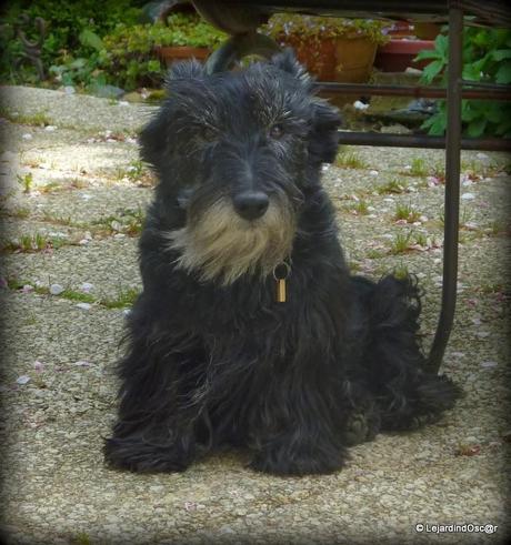 Rétro Septembre 2013