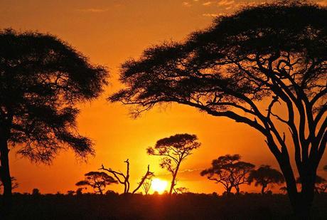 Coucher de soleil africain 