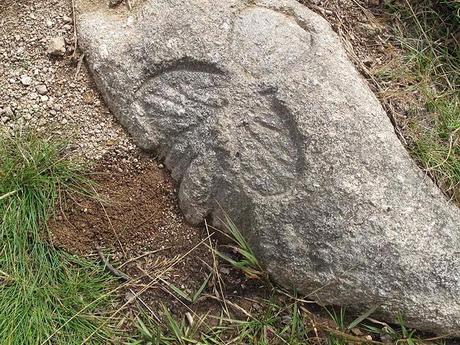 Sur les Crêtes vosgiennes, avec plein de 