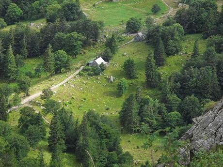 Sur les Crêtes vosgiennes, avec plein de 