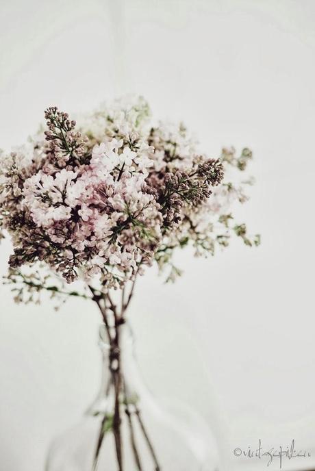 Inspiration du dimanche ... fleurs