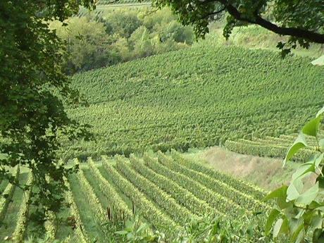 Visite domaine de l'A 2