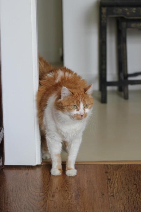 Détails du dimanche