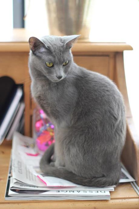 Détails du dimanche