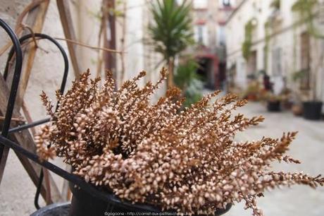 Villas, allée, hameau, Cité… balade dans certaines voies insolites du 18ème arrondissement (Paris 18) cours-du-17_7_gagaone