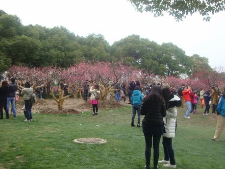 Un dimanche de (presque) printemps au parc