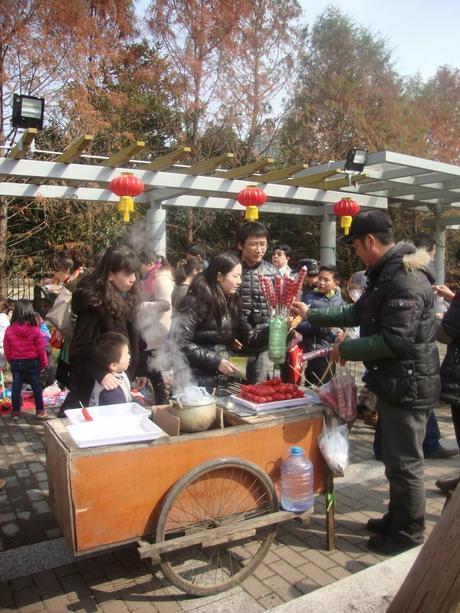 Un dimanche de (presque) printemps au parc