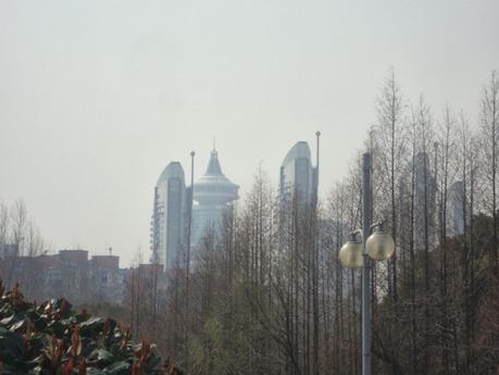 Un dimanche de (presque) printemps au parc
