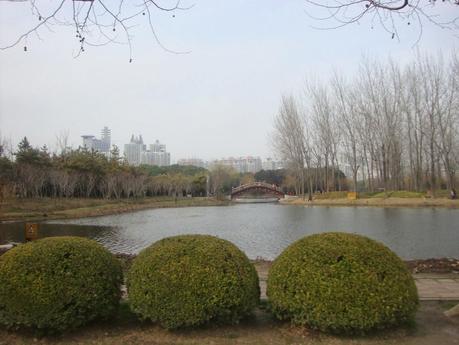 Un dimanche de (presque) printemps au parc