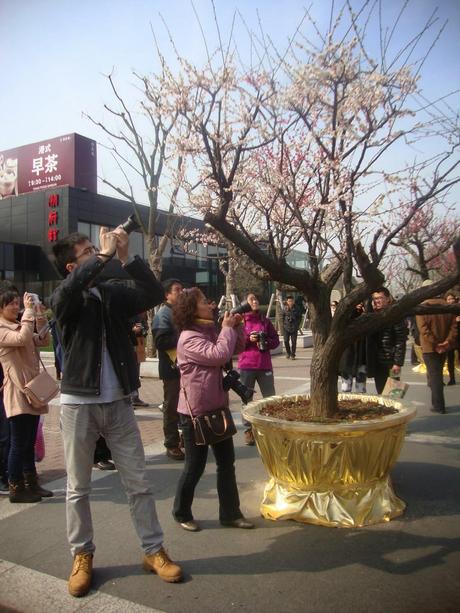 Un dimanche de (presque) printemps au parc