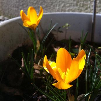 Février bien chargé en images