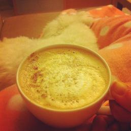 Février bien chargé en images