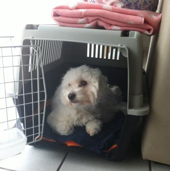 Février bien chargé en images