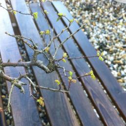 Février bien chargé en images