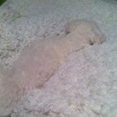 Février bien chargé en images