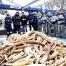 Des agents des douanes françaises devant le stock d'ivoire détruit en France le 6 février 2014