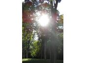 Etre fort, être fragile, qu’est-ce veut dire